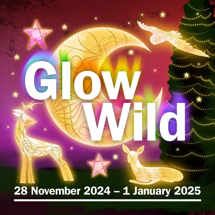 Glow Wild